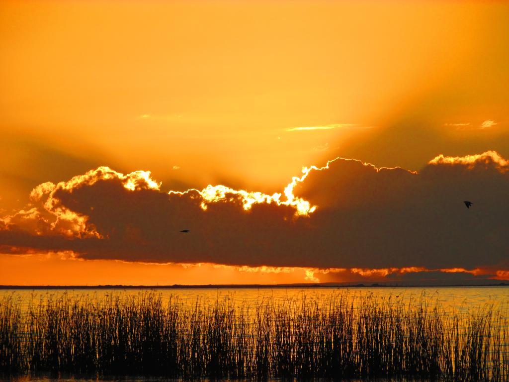 Lake Albert Caravan Park Otel Meningie Dış mekan fotoğraf