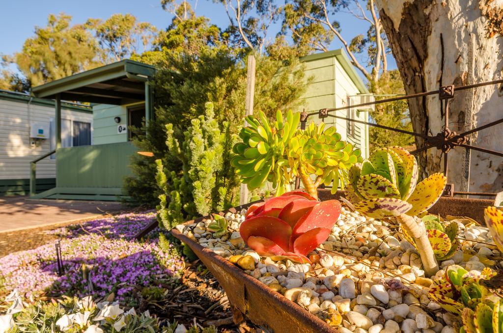 Lake Albert Caravan Park Otel Meningie Dış mekan fotoğraf